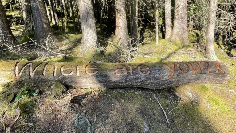 Art on Eilean Shona