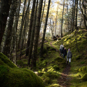 1 ES woodland hike R Langlands Pearse copy