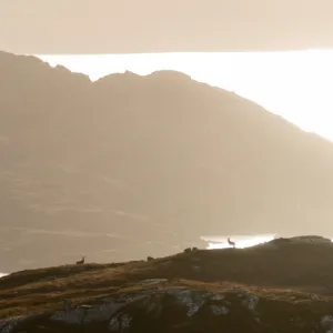 2025 summit Eilean Shona February Exterior Images Web 19 B Cox