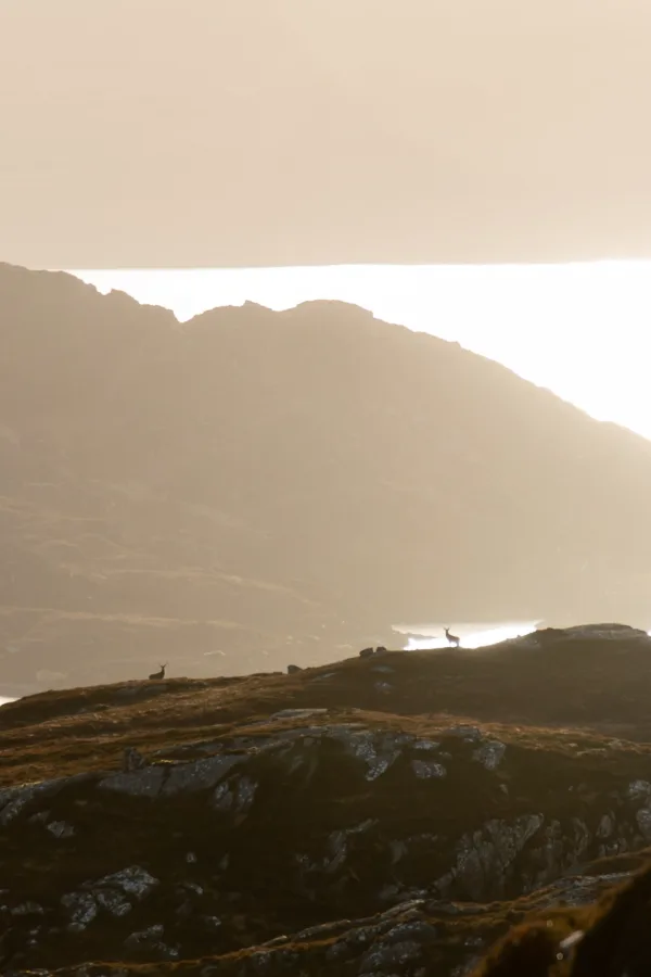 2025 summit Eilean Shona February Exterior Images Web 19 B Cox