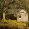 Timber Cottage