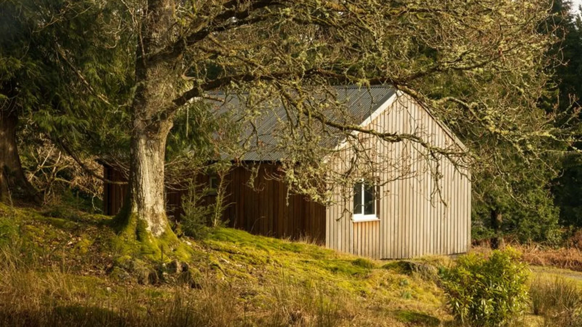 Timber Cottage