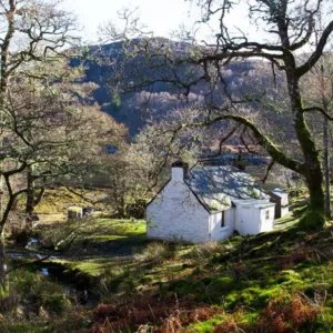Sawmill cottage pms 77abd5ac cbd3 4c21 856a a4c3169e85d0