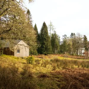 Timber cottage pms f3acdb33 72ae 4ace 92f8 6fc5e97048db