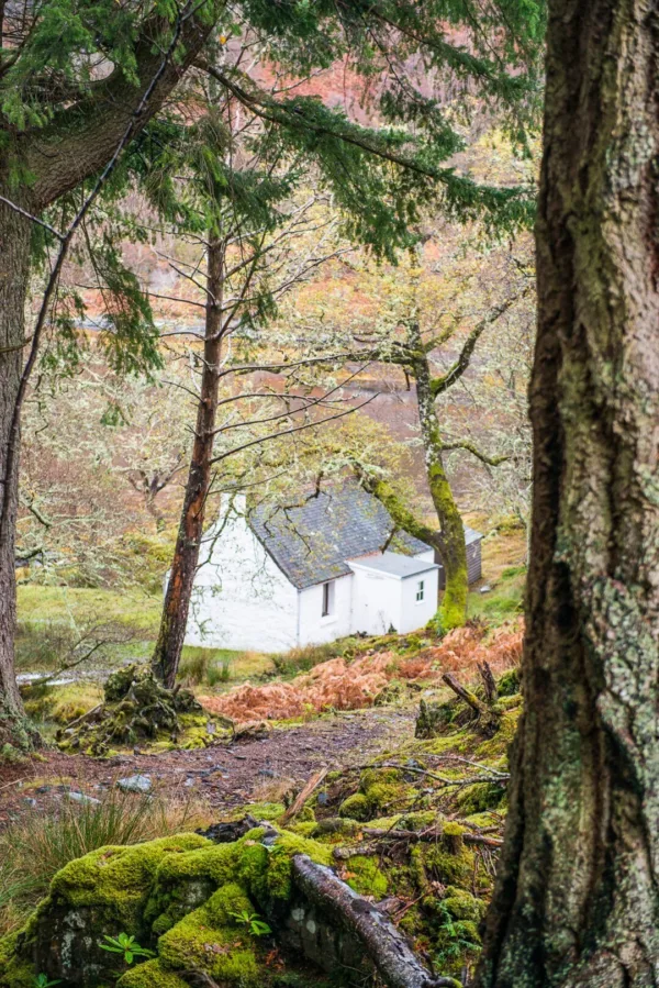 Sawmill cottage pms 246f812f 4dc6 4523 81c6 313afad58850