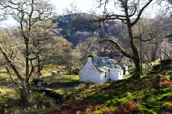 Sawmill cottage pms 77abd5ac cbd3 4c21 856a a4c3169e85d0